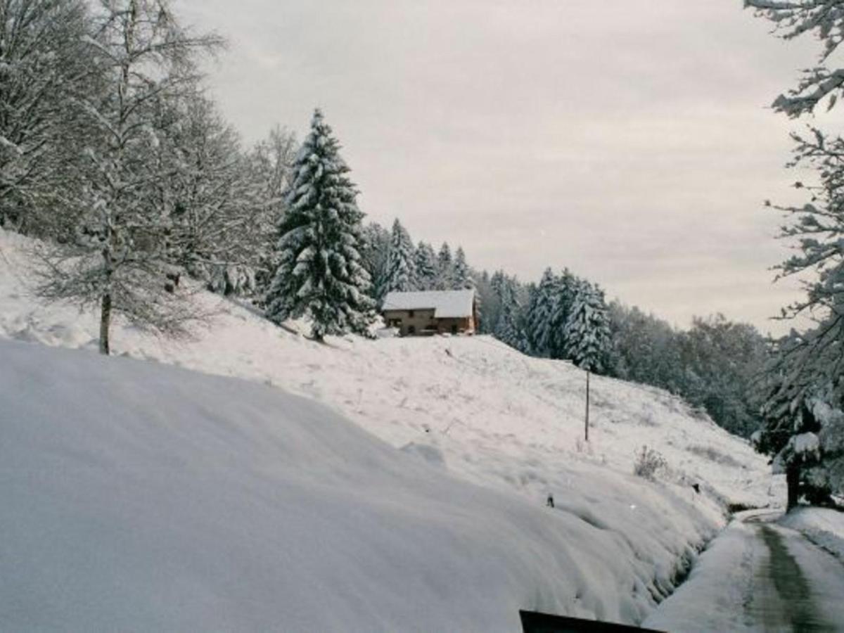 Gite Spacieux, Confort Moderne, 8 Pers, Terrasse Privative, Animaux Admis, Wifi - Fr-1-589-227 Vagney 外观 照片